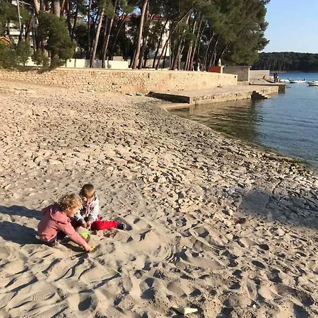 Vlasta *