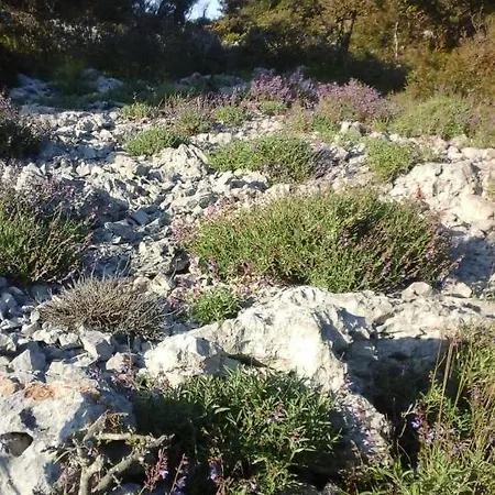 Vlasta * Mali Lošinj