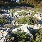 Vlasta * Mali Lošinj