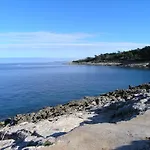 Vlasta *