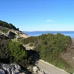 Vlasta *